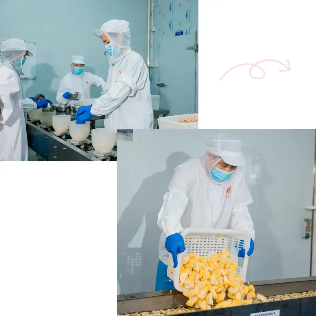 In Kimdee's pre-prepared food workshop, production line workers are cleaning raw materials in the pre-processing workshop