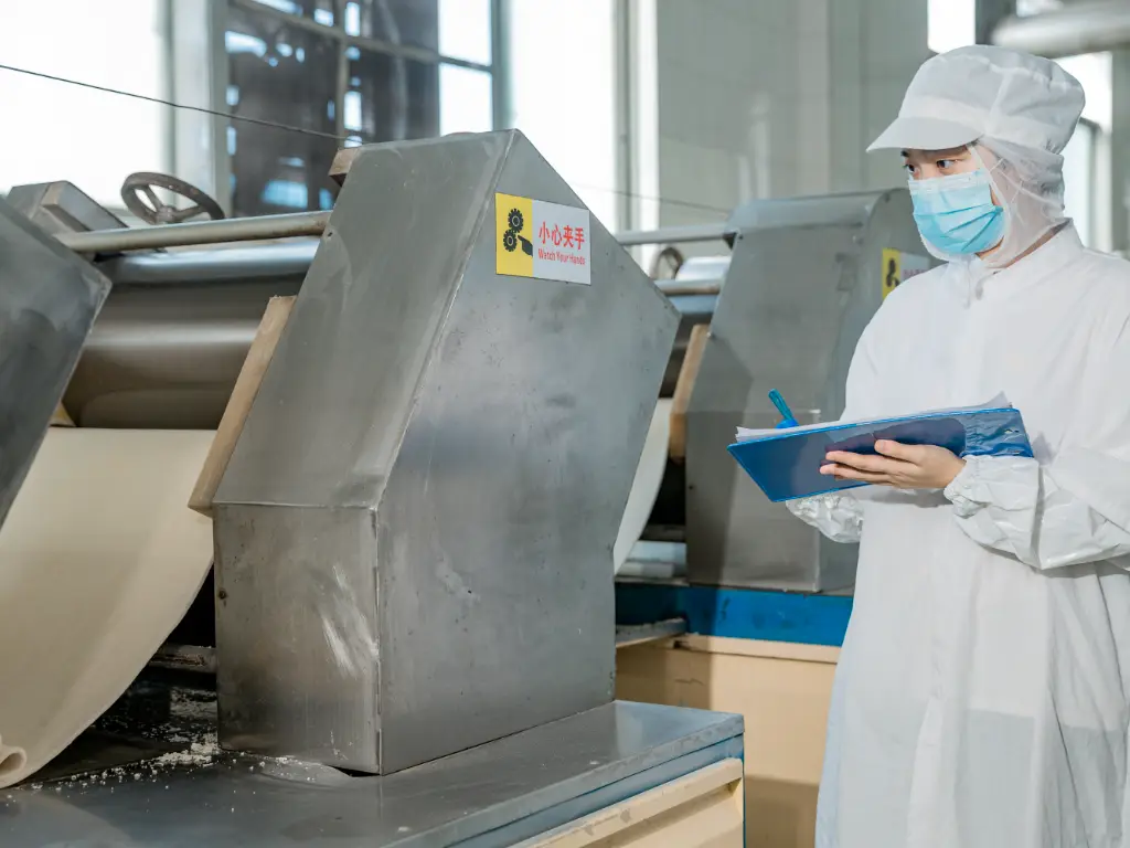 Workers are checking the noodle processing on the production line